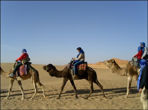 viaje por el desierto
